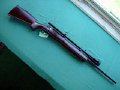 Mauser varmint rifle in 244 Remington  